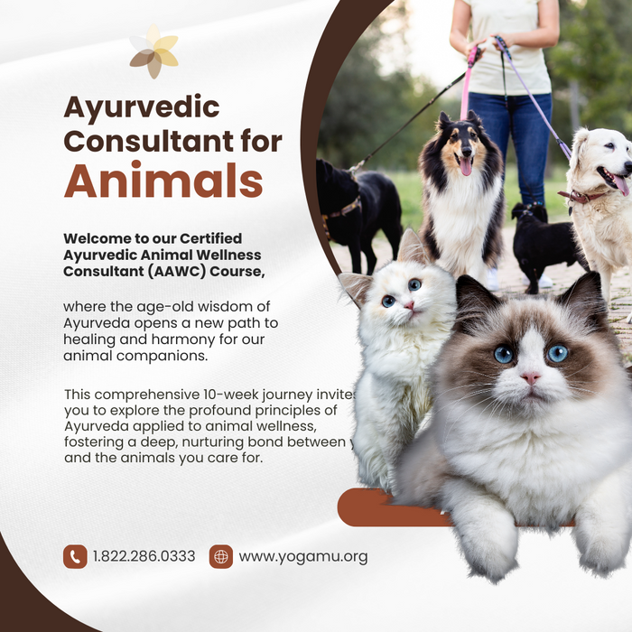 Ayurvedic Animal Wellness Consultant (AAWC) Certification