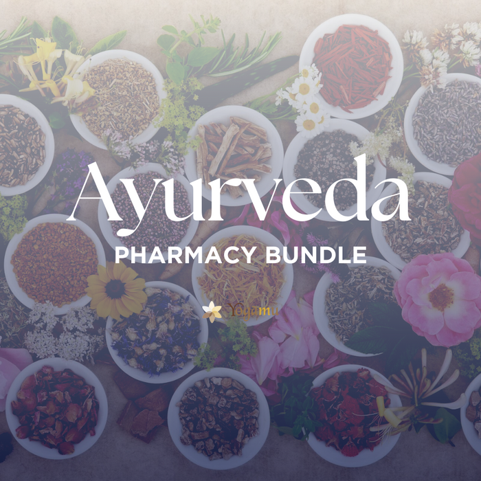 Ayurveda Pharmacy Bundle