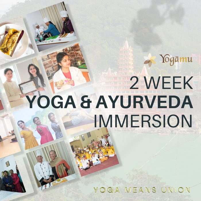 2-Week Yoga and Ayurveda Immersion Experience